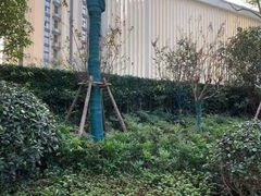 -WEPARK 芳草寓