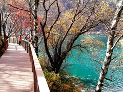 -叠溪松坪沟景区