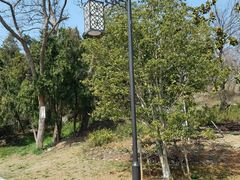 -镇江市南山风景名胜区竹林景区