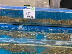 水产区-果蔬好生活超市(双井店)