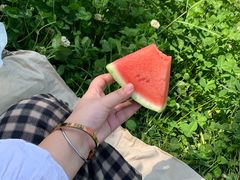 -白鹭湾湿地公园