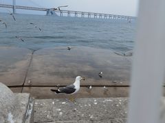 -星海广场