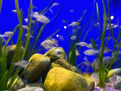 -上海海洋水族馆
