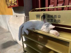 -灵顺寺
