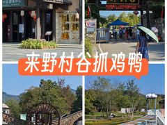 -黄陂区野村谷景区