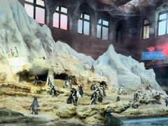 -帝企鹅自助餐厅•儿童岛•真企鹅(长隆企鹅酒店)