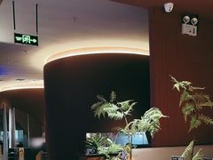 -芸山季·云南野生菌火锅(宝能环球汇店)