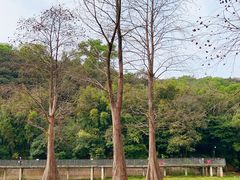 -广州市白云山风景名胜区