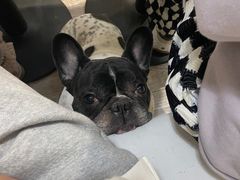-小时光咖啡馆(北锣鼓巷店)