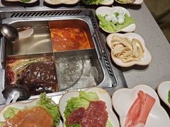 -海底捞火锅(赛格国际购物中心店)