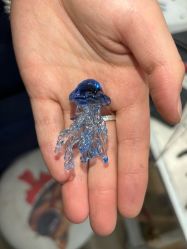 -烬·烧玻璃diy灯工玻璃艺术·银饰工作室