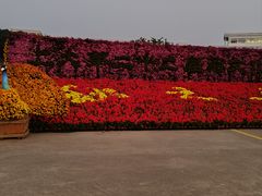 -上海大学(宝山校区)