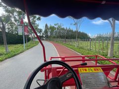 -上海长兴岛郊野公园