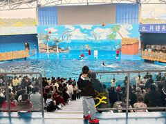 -石林冰雪海洋世界