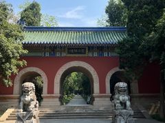 -灵谷景区