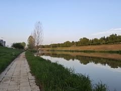 -洨河生态公园