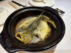 清煲黄花鱼-百味馆·海鲜·湛江菜(后海花园店)