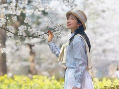 -东湖磨山景区樱花园-停车场