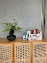 -悦己美容养生