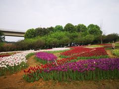 -秀丽东方