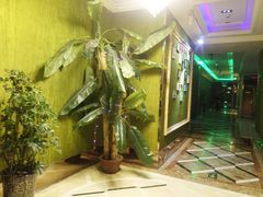 -他她纯乐party量贩KTV(升龙店)