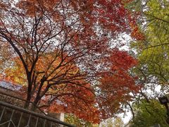 -西安市纺织公园