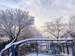 -紫金山山顶公园