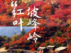 -周口店坡峰岭风景区