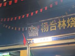 -杨合林啊兰烤鱼