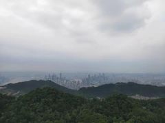 -大金鹰园