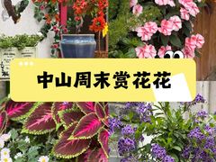 -三溪村