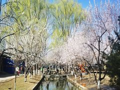 -三里河公园