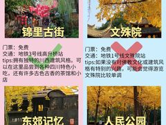 -成都大熊猫繁育研究基地