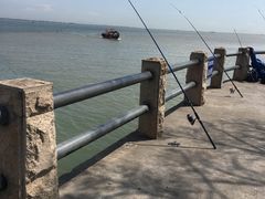 -大湾区中央湿地公园-十九涌