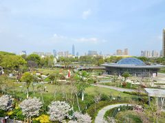 -宁波儿童公园(鄞州区)