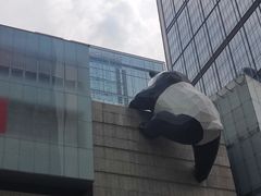 -钟方模白家肥肠粉(春熙店)