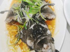 沙巴龍躉魚-豪宴海鲜酒家