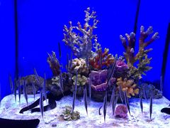 -多彩贵州城极地海洋世界