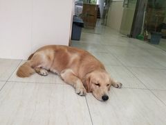 -佳雯宠物医院(四明中路分院)