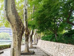 -红梅公园