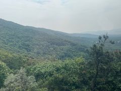 -紫金山索道-售票处