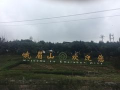 -荣生萝卜汤饭店