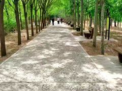 -北京麋鹿生态实验中心