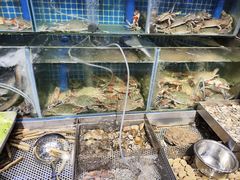 -77号渔船·蒸海鲜青岛菜(积米崖店)