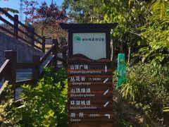 -广州白江湖森林公园