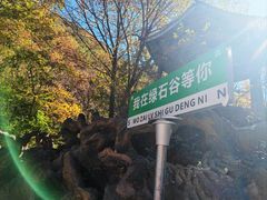 -本溪汤沟绿石谷森林公园
