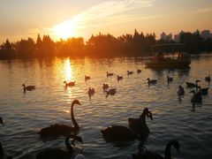 -艾溪湖湿地公园