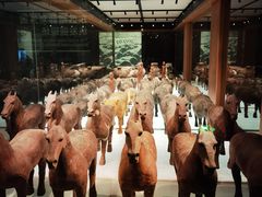 -汉景帝阳陵博物院