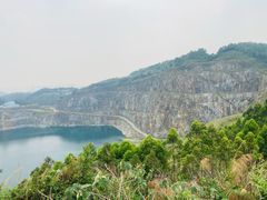-黄埔油麻山森林公园