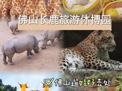 -长鹿旅游休博园